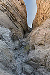 Click to see Y_DSC0720-MOD.JPG