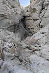 Click to see Y_DSC0744.JPG