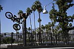 Click to see Y_DSC0872.JPG