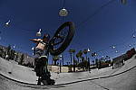 Click to see Y_DSC1200.JPG