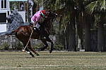 Click to see Y_DSC1356.JPG