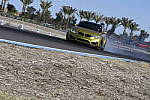 Click to see Y_DSC2108.JPG