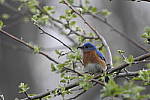 Click to see Y_DSC2980.JPG