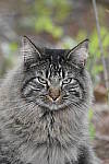 Click to see Y_DSC3043.JPG