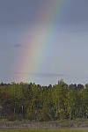 Click to see Y_DSC3593.JPG