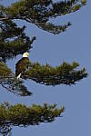 Click to see Y_DSC3790.JPG