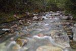 Click to see Y_DSC4170.JPG