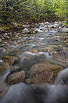 Click to see Y_DSC4183-MOD.JPG