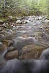 Click to see Y_DSC4183.JPG
