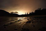 Click to see Y_DSC4286.JPG