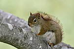 Click to see Y_DSC4474.JPG