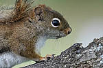 Click to see Y_DSC4735-MOD.JPG