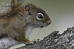 Click to see Y_DSC4735.JPG
