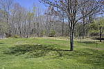 Click to see Y_Tamron10-24-JG57685-15mm-f8.JPG