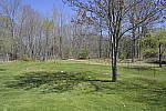 Click to see Y_Tamron10-24-JG57689-15mm-f25.JPG