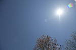 Click to see Y_Tamron10-24-JG57697-FLARE-10mm-f3.5.JPG