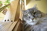 Click to see Y_Tamron10-24-JG57849.JPG