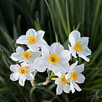 Click to see Y_Tamron10-24-JG57878-MOD.JPG