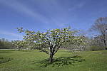 Click to see Y_Tamron10-24-JG57920.JPG