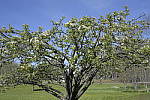 Click to see Y_Tamron10-24-JG57923.JPG