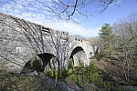 Click to see Y_Tamron10-24-JG57975.JPG