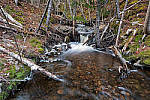 Click to see Y_Tamron10-24-JG57986-MOD.JPG