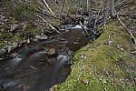 Click to see Y_Tamron10-24-JG57991.JPG
