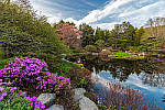 Click to see Y_Tamron10-24-JG58000-MOD.JPG