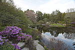 Click to see Y_Tamron10-24-JG58000.JPG
