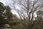 Click to see Y_Tamron10-24-JG58014-PURPLE-FRINGING.JPG