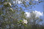 Click to see Y_Tamron10-24-JG58038-BOKEH.JPG