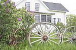 Click to see Y_Tamron10-24-JG58203.JPG