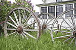 Click to see Y_Tamron10-24-JG58204.JPG