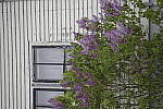 Click to see Y_Tamron10-24-JG58205.JPG