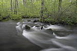 Click to see Y_Tamron10-24-JG58508.JPG