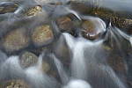 Click to see Y_Tamron10-24-JG58525.JPG