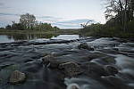 Click to see Y_Tamron10-24-JG58533.JPG