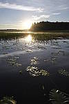 Click to see Y_Tamron10-24-JG59335.JPG