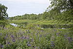 Click to see Y_Tamron10-24-JG59374.JPG