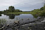 Click to see Y_Tamron10-24-JG59381.JPG