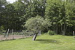 Click to see Y_Tamron10-24-JG59522-FAR-24mm-f11.JPG