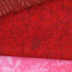 100% crop from Nikon D500 test image taken at ISO 100