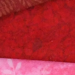 100% crop from Nikon D500 test image taken at ISO 1600