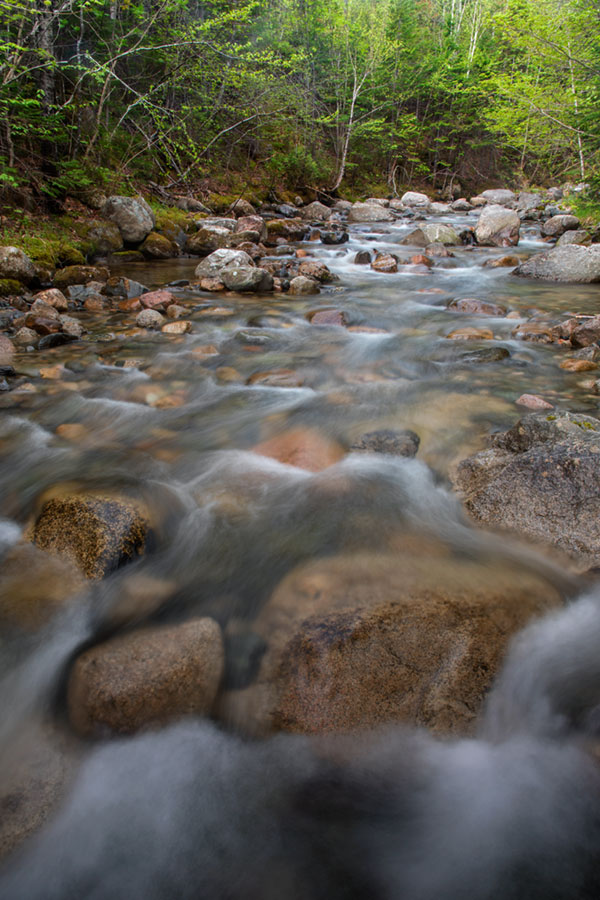 Nikon D500 Review -- Gallery Image