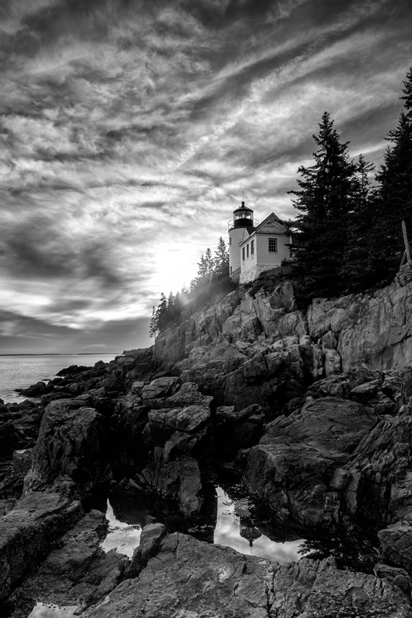 Nikon D500 Review: Field Test -- Gallery Image