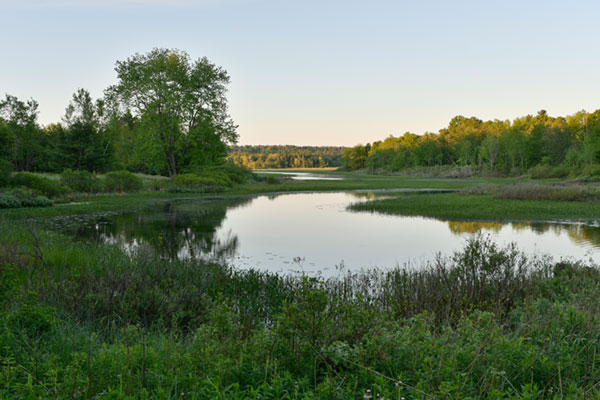 Nikon D500 Review: Field Test -- Gallery Image