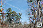 Click to see D5200PINE_ACRu300r03.JPG