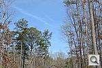 Click to see D5200PINE_VNX2.JPG