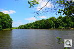 Click to see Y-DSC_1000_MINIATURE.JPG