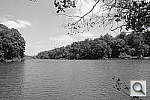 Click to see Y-DSC_1001_SELECTCOLOR.JPG
